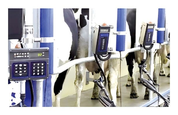 NEMHB Golden Herringbone Milking Machine