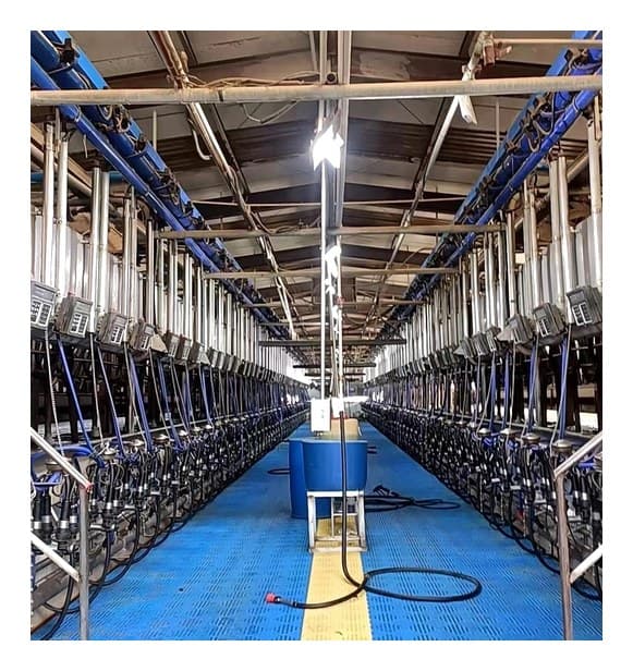 NEMNP25 Parallel Milking Machine